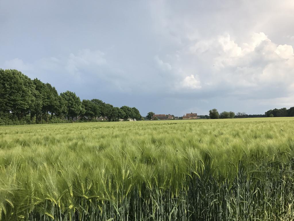 Appartementen De Zegelskoel Heijenrath Eksteriør billede